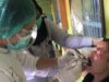 Petugas Kesehatan Lapas Perempuan Kelas IIA Palembang Rutin Lakukan Pengobatan dan Pencabutan serta pengecekan Gigi Warga Binaan