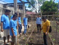 Gandeng Dinas Pertanian Kab. Kepulauan Sangihe, WBP Lapas Enemawira Dibekali Pembinaan Kemandirian Bidang Pertanian
