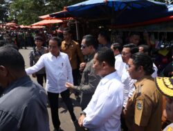 Presiden Joko Widodo Tinjau Harga Pangan di Pasar Kranggot Cilegon