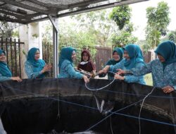 TP PKK Provinsi Banten Jadikan Ternak Ikan Lele sebagai Strategi Turunkan Stunting