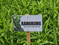 Kalapas Semarang Jadi Narasumber Kobar Tani, Angkat Inovasi Ketahanan Pangan dari Balik Jeruji