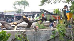 Pemkot Tangerang Imbau Warga Waspada Cuaca Buruk Usai Puluhan Pohon Tumbang
