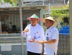 Kalapas Pemuda Madiun Tinjau Langsung Kegiatan SAE, Dorong Kemandirian dan Ketahanan Pangan