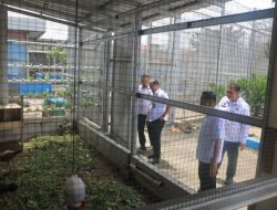 Kalapas Pemuda Madiun Tinjau Ketahanan Pangan SAE untuk Perkuat Program Kemandirian Warga Binaan