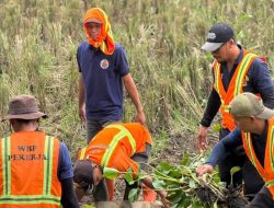 Warga Binaan Asimilasi Lapas Karawang Turun Tangan Bersihkan Saluran Air Sukajaya