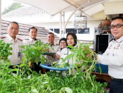 Dukung Ketahanan Pangan, Bapas Jakarta Pusat Gelar Panen Perdana Program Babang Tampan