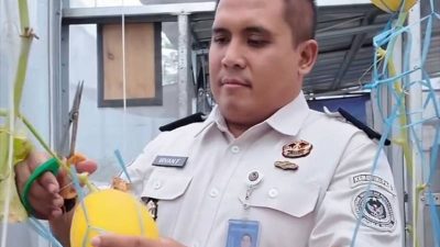 Warga Binaan Lapas Purwakarta Panen Melon Golden, Bukti Nyata Pembinaan Kemandirian