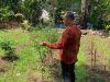 Kalapas Manna Tinjau Lahan Ketahanan Pangan, Tekankan Kebersihan dan Kemandirian WBP